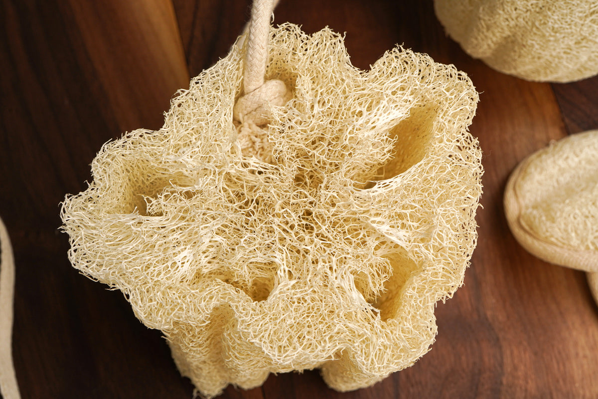 Mandisa Sponge Loofah